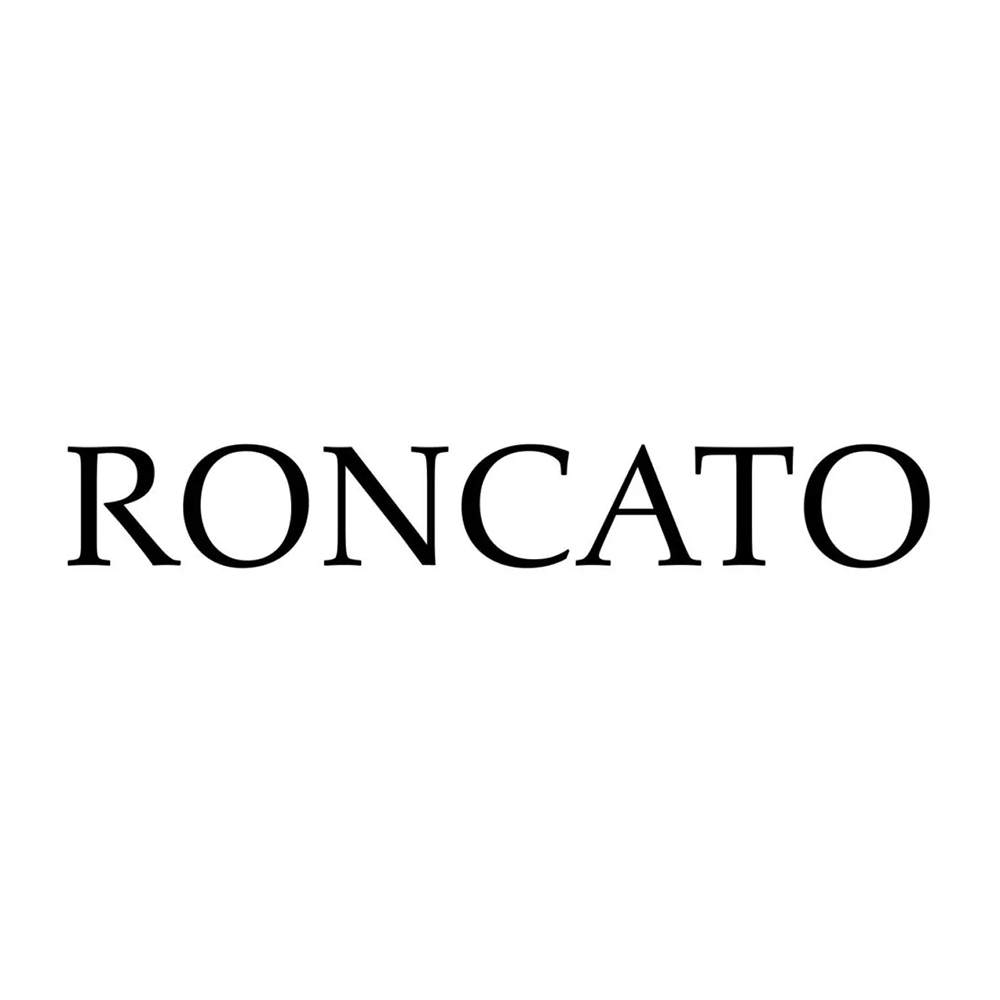 RONCATO_aopiya_handbag